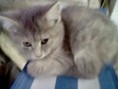 /album/our-animal-pics/picture-510-jpg/